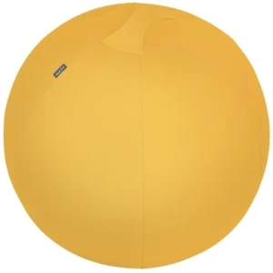 Leitz Ergo Aktiv Sittboll Cosy